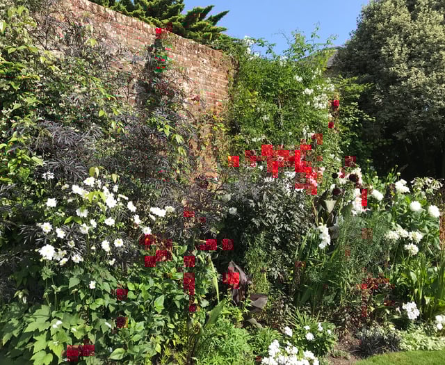 Interest growing in garden open events