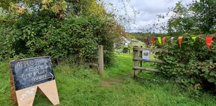 Get creative in the community garden