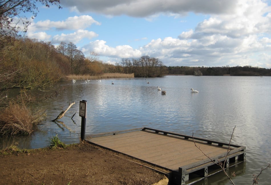 <p>Two birds were killed at Fleet Pond.</p>