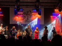 Why are so many festivals in Surrey and Hampshire being cancelled?