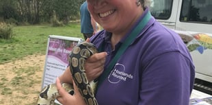 Exotic bugs come to Bordon as creepy crawlies are a hit with children