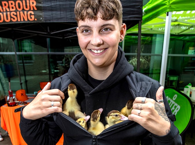 Ducklings put in an appearance at the Harbour Housing stand. Picture: Paul Williams