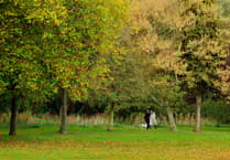 Access to green space in Waverley higher than South East average