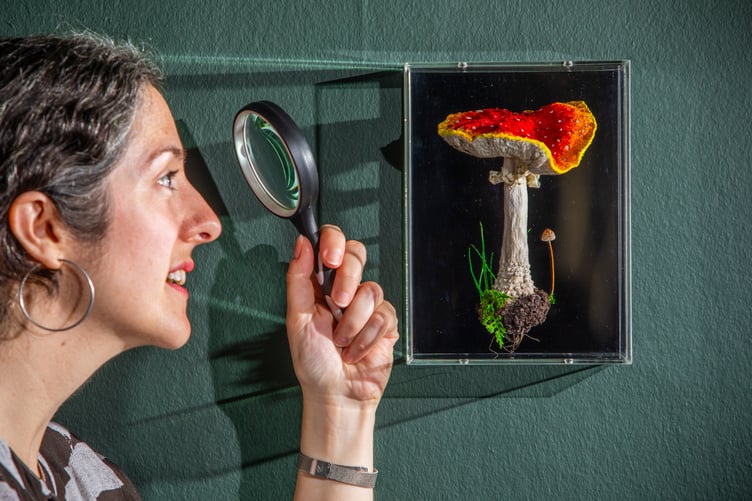 Amanda is award-winning textile artist