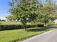 Plans for eight houses in Ropley turned down by council