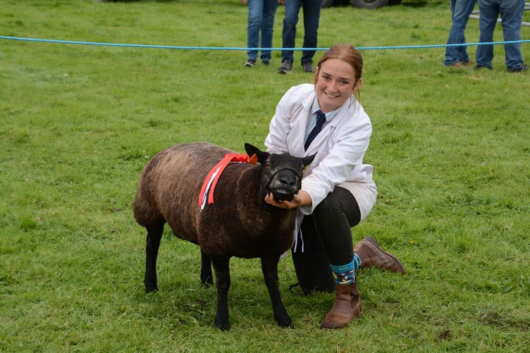 There were some strong contenders in the sheep section. (Pictures: Rodney Parrish)