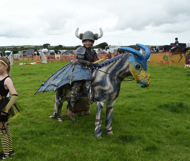A very well behaved 'dragon' ready for battle. (Pictures: Rodney Parrish)