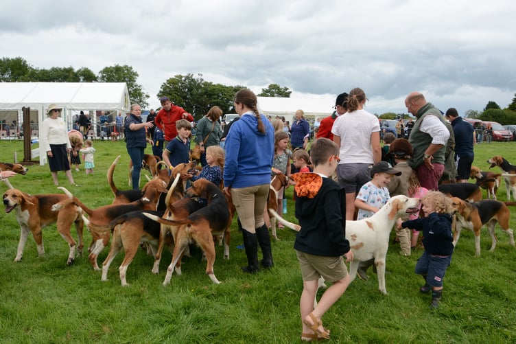 The hounds enjoyed meeting the public. (Picture: Rodney Parrish)