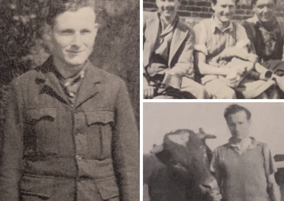 <p>Clockwise from left: Willi in POW uniform at Fishers POW Camp at Theddon Grange, 1946; with his mates at Shalden in 1948; and with Kismet the bull in 1949.</p>