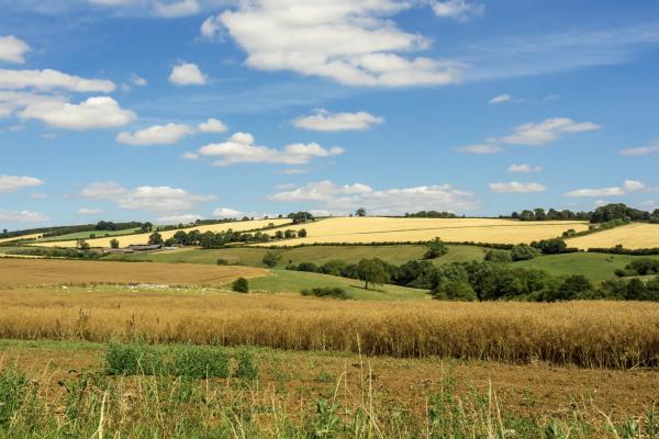 South Downs National Park housing plans raise concerns