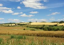 South Downs National Park housing plans raise concerns