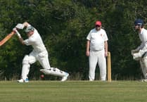 Waverley Cricket Club fall to six-wicket defeat at Elsted