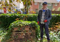 Five-star treatment for churchyard’s creepy crawlies