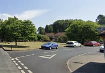 Chairman was parking mad as Elstead motorists accused of 'destroying' green