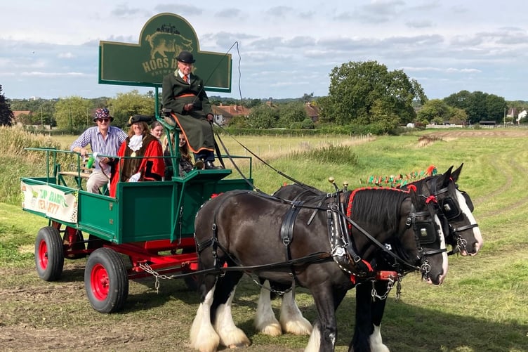 Hogs Back Brewery Hop Harvest 2024
