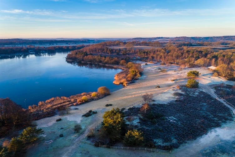 Surrey Hills National Landscape, Frensham Ponds