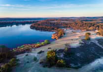 Surrey Hills Area of Outstanding Natural Beauty could be expanded