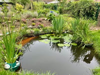 Wildlife charity outlines the benefits of outdoor school environments
