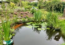 World Wide Fund for Nature outlines benefits of outdoor school environments