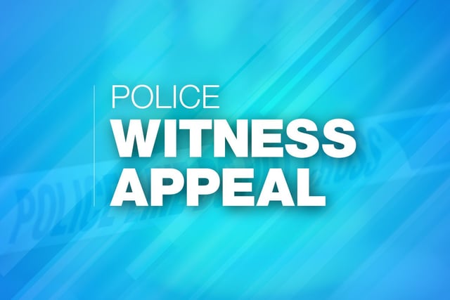 Police seek driver after A31 crash
