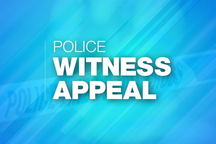 Witness appeal