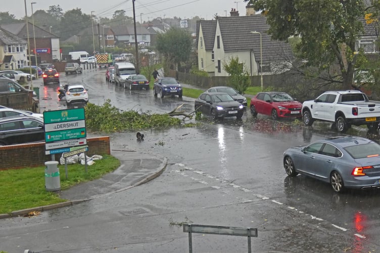 Tree blocking road Aldershot