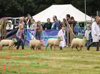 Housebuilder's financial show of support for Alresford event