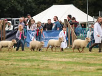 Housebuilder's financial show of support for Alresford event