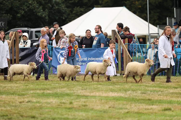 Taylor Wimpey Alresford Agricultural Show