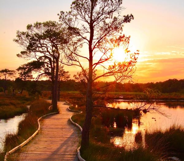 Britain’s favourite path now part of a major new nature reserve