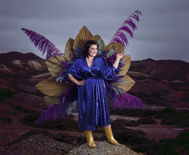 Comedy show about the joys of fostering