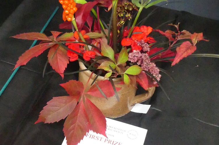 Frensham Dockenfield Horticultural Show PIC5