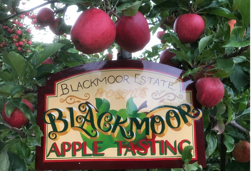 <p>The Blackmoor Estate will hold its hugely popular Apple Tasting Day this Sunday.</p>