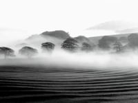New exhibition celebrating the beauty of the South Downs 