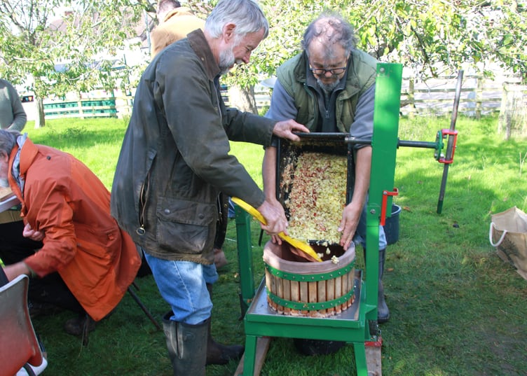 Roland Husebo and Stuart Heesom loading an apple press at Carhampton Apple Day. PHOTO: George Ody.