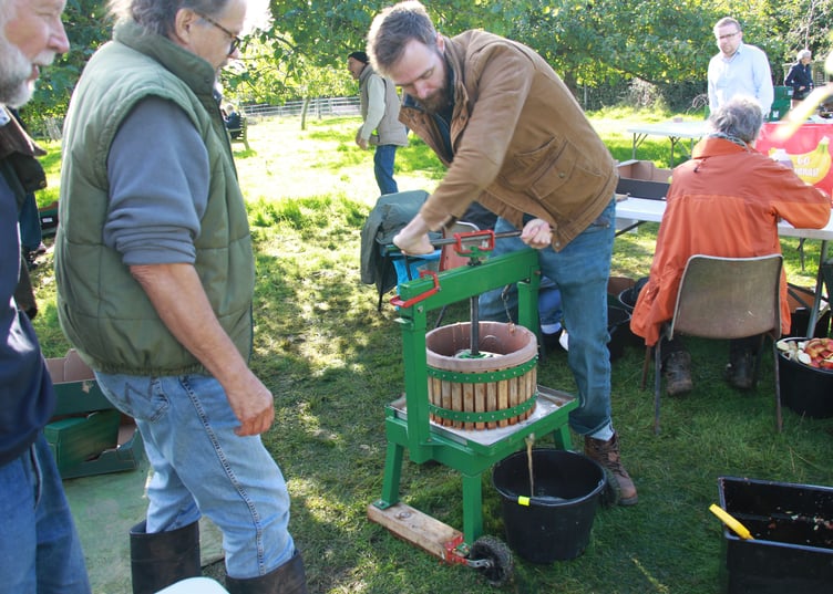 Apples being pressed by Sam Parker-Gill during Carhampton Apple Day. PHOTO: George Ody.