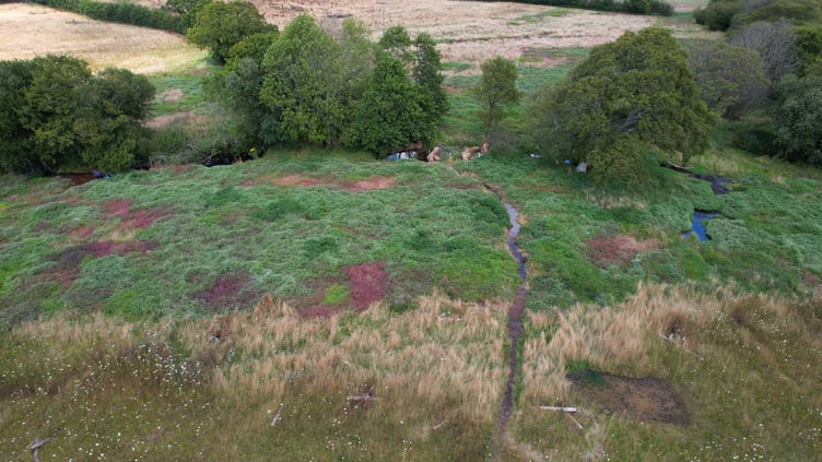 An aerial view of new wetland habitat at the 'Stage 0' site on the National Trust's Holnicote Estate, Exmoor. PHOTO: View It 360.