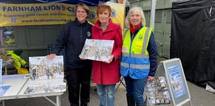 Susie the Lionheart loves a brush with the great Farnham public