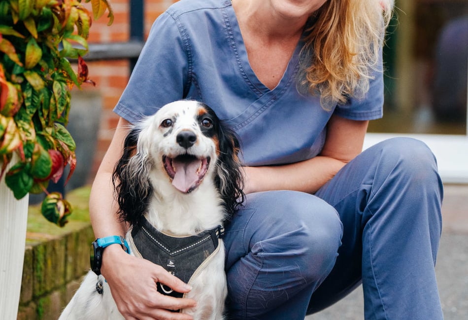 <p>Lily with vet Ruth Brownlee (St Peter's Vets)</p>