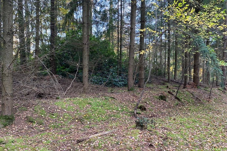 Littleworth Clump Heritage At Risk