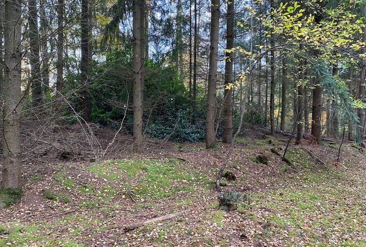 Littleworth Clump Heritage At Risk