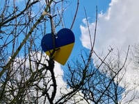 Surrey council offers £600 per month to host Ukrainian refugees