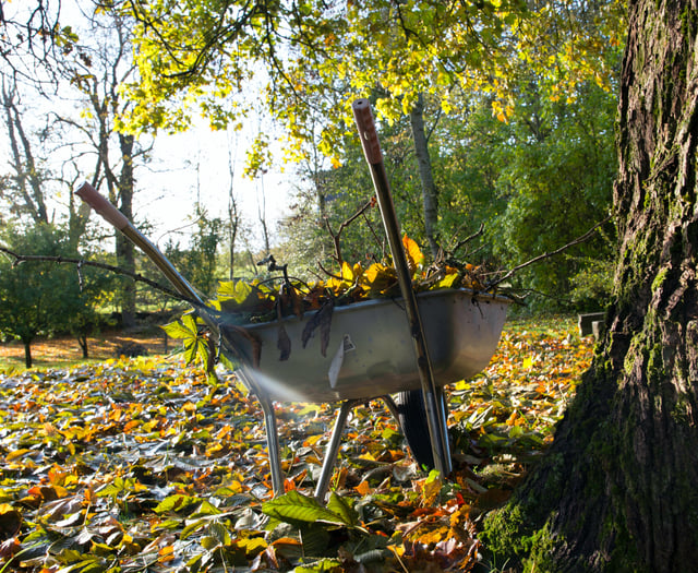 Join council garden waste service