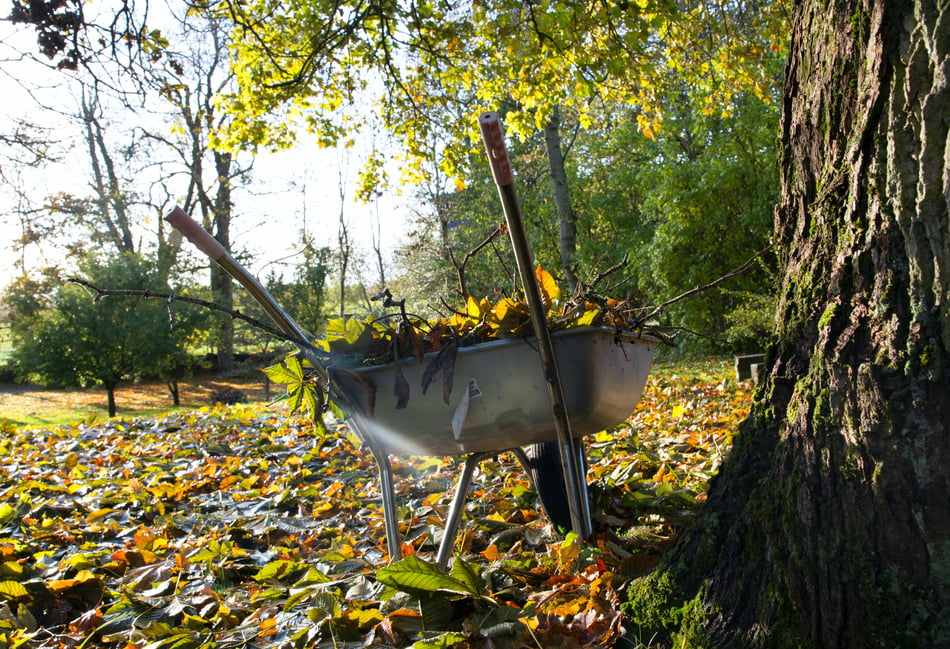 <p>Residents can sign up for East Hampshire District Council’s garden waste collection service.</p>