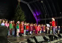 PICTURE GALLERY: Let there be Christmas lights as Farnham sparkles at switch-on