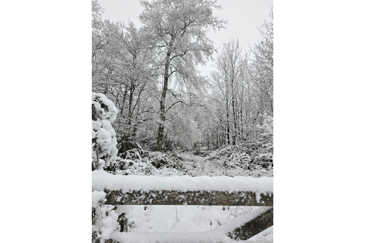 Snow in St Breward. Picture: Jo Speare
