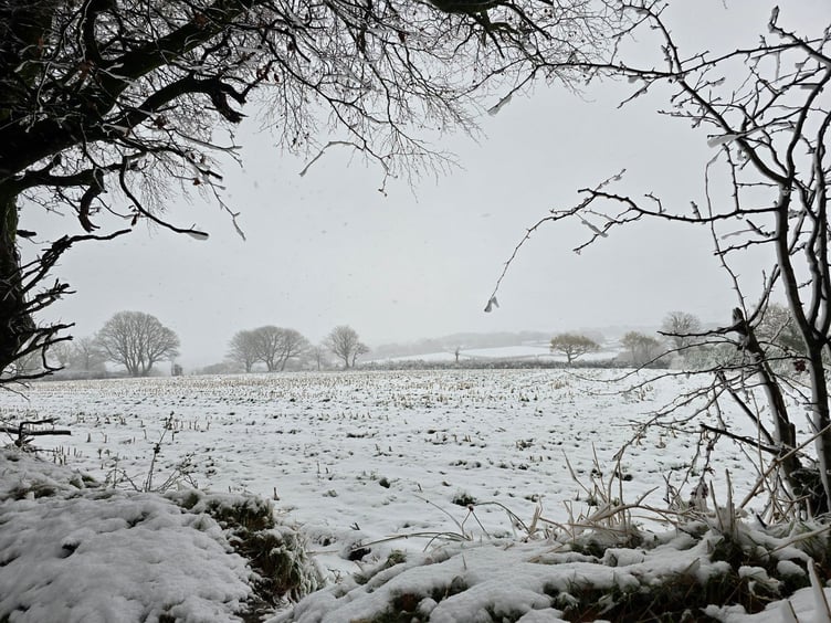 Snow in Camelford. Picture Debbie Moore