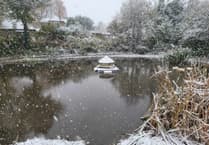 VIDEO: East Hampshire village transformed into winter wonderland after snow falls