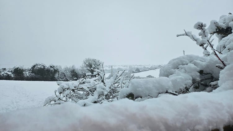 Snow in Altarnun. Picture: Karen Hurrell