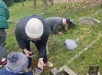 Slugfest in Wrecclesham as "The Queen of Shells" joins survey